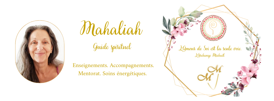 Couverture du site 1