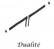 Dualite 1