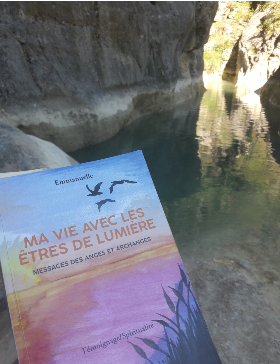Le livre voyage