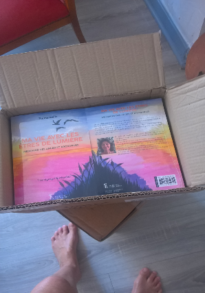 Ouverture des cartons