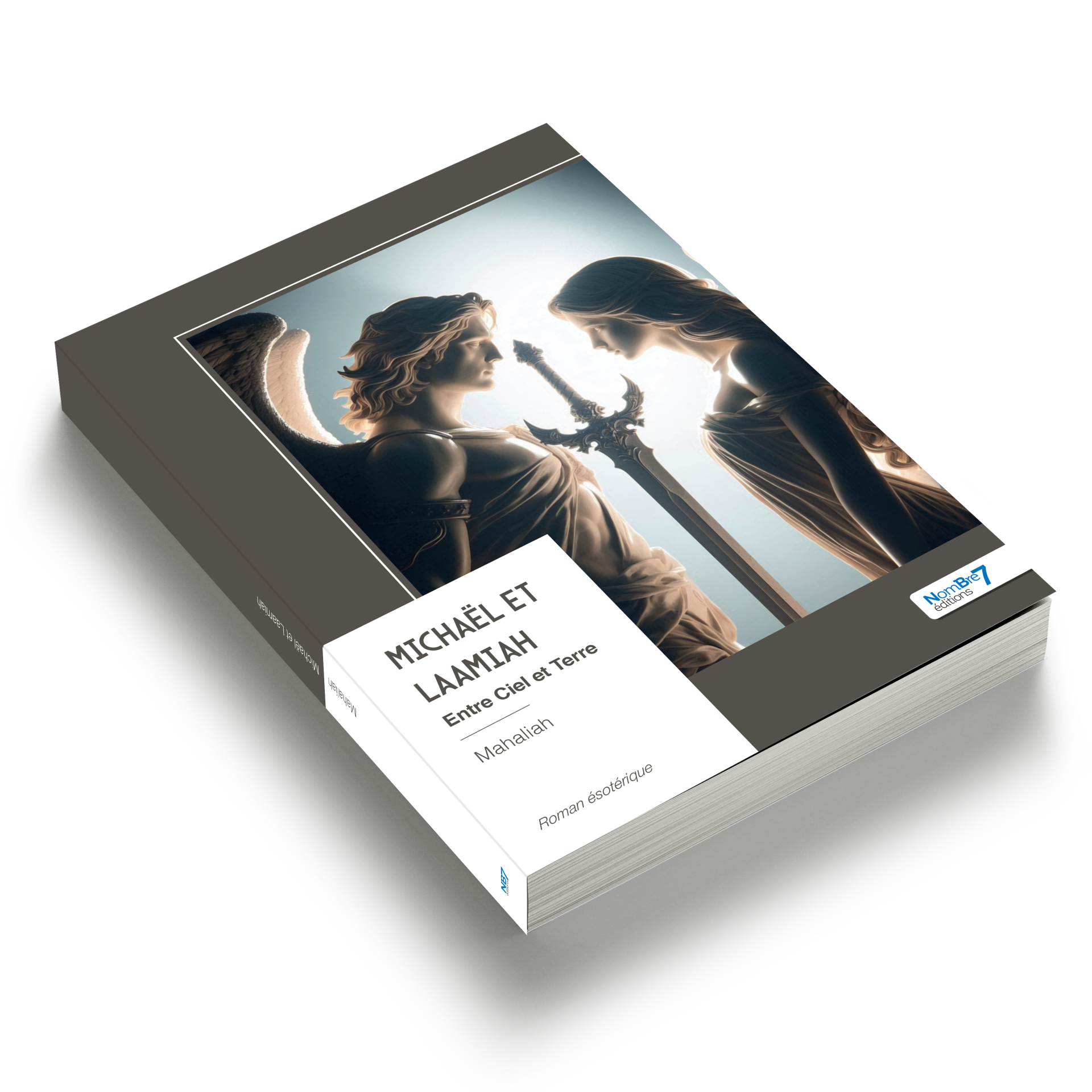 Web livre3d 9791042717469
